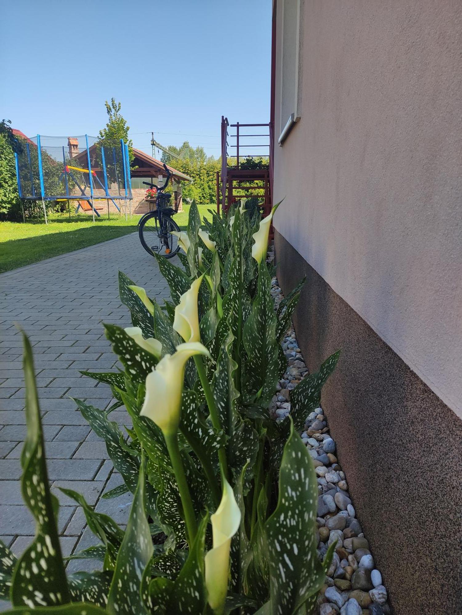 Orgona Vendeghaz Hotel Murakeresztur Buitenkant foto